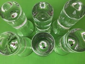 Floris Meydam - Forest borrelglaasjes / Royal Leerdam . kopen? Bied vanaf 40!