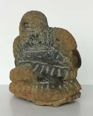 Colleen Madamombe - Afrikaans zeepstenen beeld van vrouw, Zonder titel kopen? Bied vanaf 150!