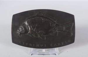 Brons (Onbekend) - Bronzen penning, Cyprinus Carpio kopen? Bied vanaf 10!