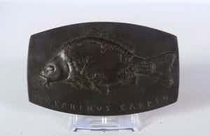 Brons (Onbekend) - Bronzen penning, Cyprinus Carpio verkocht voor € 10!