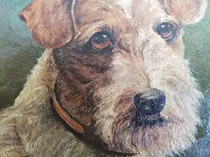 Niet of onleesbaar gesigneerd - Schotse terrier kopen? Bied vanaf 1!