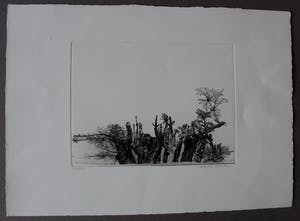 Charles Donker - Ets: Centraal museum 1838-1988, 150 jaar kopen? Bied vanaf 250!