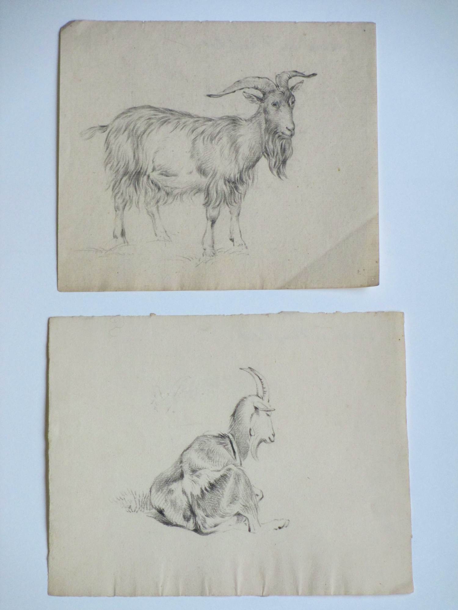 Frans Lebret - Twee tekeningen van een bok en een geit kopen? Bied vanaf 60!