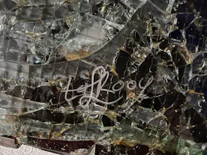 Louis La Rooy - Uniek glas kunstwerk kopen? Bied vanaf 1000!