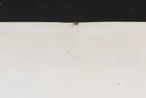 Niet of onleesbaar gesigneerd - Litho, Vrouw met kat kopen? Bied vanaf 1!