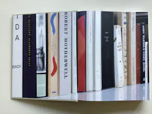Diverse kunstenaars - Caldic Collection - ARTISTS’ BOOKS ( Ned. Uitgave) kopen? Bied vanaf 50!