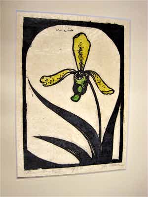 Jac. de Beer - Handgekleurde Houtsnede uit 1931 "bloem van de Vanilleplant" kleine oplage 3/50 verkocht voor € 20!