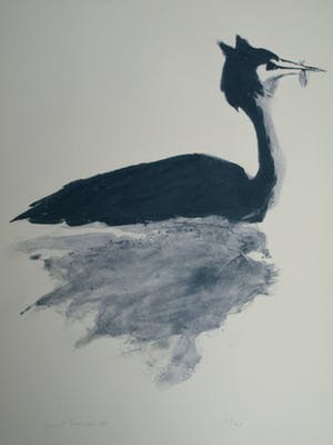 Mart Kempers - Zeefdruk VOGEL Handgesigneerd. kopen? Bied vanaf 70!