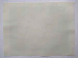 Willem de Zwart - 1905 - In de stal kopen? Bied vanaf 50!