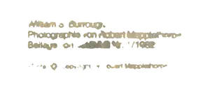 Robert Mapplethorpe - William S. Burroughs kopen? Bied vanaf 50!