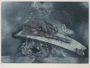 Karel Demel - Kleurenets, Reader - Ingelijst kopen? Bied vanaf 100!