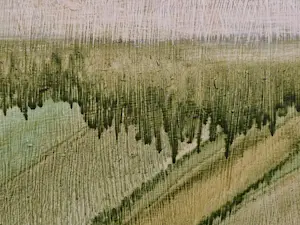 Ilona Mandy - Green Valley kopen? Bied vanaf 45!