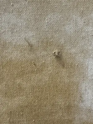 Nick Seijkens - Vrouwelijke naakt kopen? Bied vanaf 450!