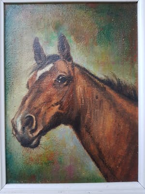 Fred Hartsuijker - paardenhoofd. kopen? Bied vanaf 40!