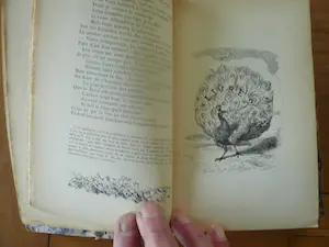 Antiquarisch Boek - Fables de La fontaine kopen? Bied vanaf 1!