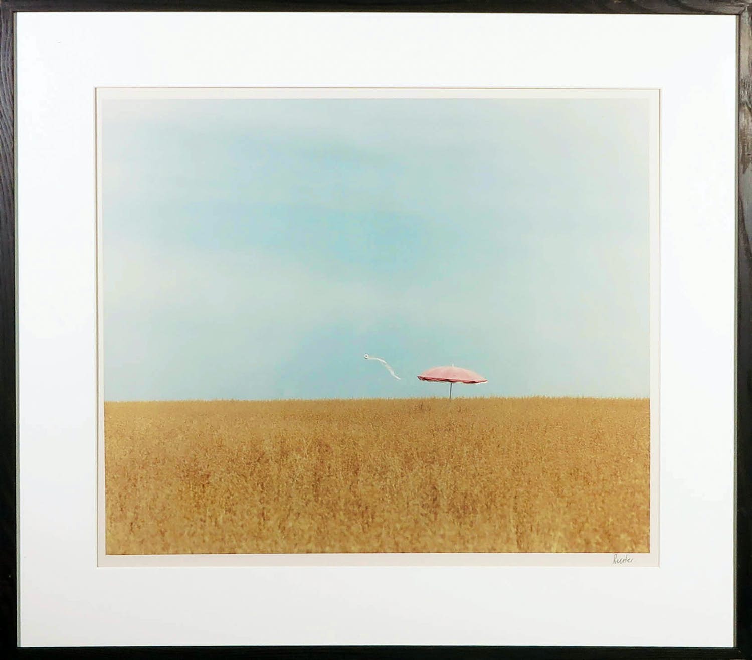 Jean Ruiter - Foto, Cornfield - Ingelijst verkocht voor € 50!
