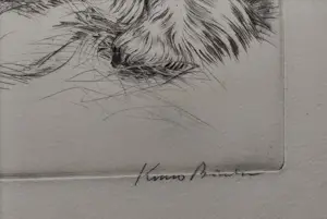 Kuno Brinks - Paarden in de stal kopen? Bied vanaf 90!