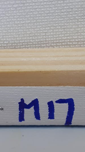 Anke Peddemors - kunst voor in het kleinste kamertje M17 kopen? Bied vanaf 15!