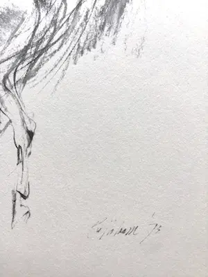 Piet Klaasse - Paarden, proefdrukken offsetlitho, 2-zijdig bedrukt, gesigneerd in druk kopen? Bied vanaf 25!