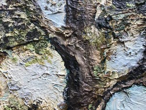 Niet of onleesbaar gesigneerd - Boom. kopen? Bied vanaf 1!