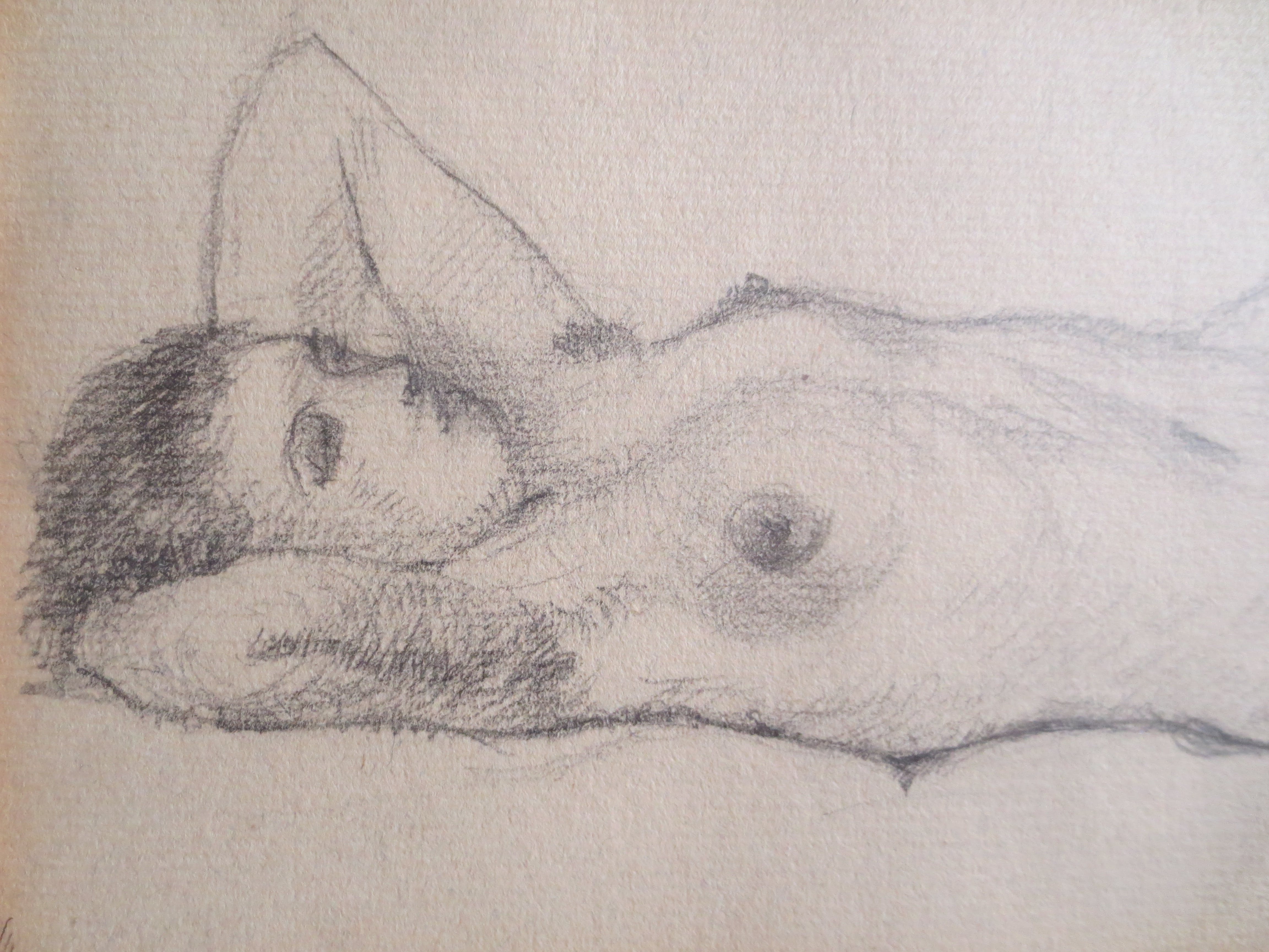 Jan Battermann - Naakt kopen? Bied vanaf 45!