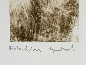 Anton Heyboer - Ets "vrouw" uit 1978 op Hahnemuhle papier kopen? Bied vanaf 125!