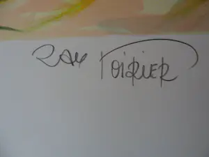 Ray Poirier - PROVENCE / KLEURLITHO / 76x56cm / kopen? Bied vanaf 35!