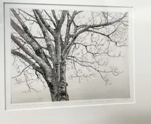 Wim van der Meij - Capelle aan de IJssel kopen? Bied vanaf 69!