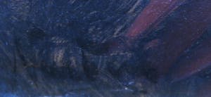 Niet of onleesbaar gesigneerd - Olieverf op doek, Figuur met hoofddoek - Ingelijst kopen? Bied vanaf 1!