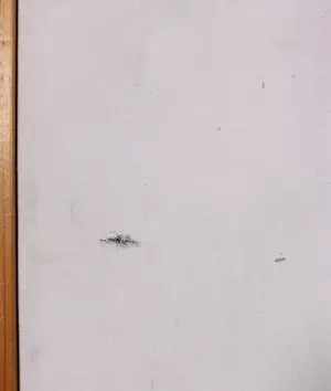 Mark Polee - Acryl op doek, Schilderij met vis - Ingelijst kopen? Bied vanaf 1!