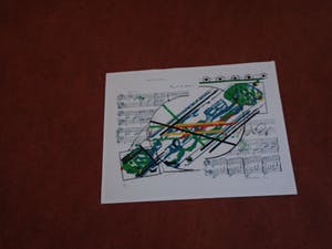 Sam Middleton - Compleet portfolio Everbody's Music Book 14 zeefdrukken 63/75 kopen? Bied vanaf 595!