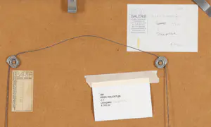 Kees Salentijn - Casida kopen? Bied vanaf 100!