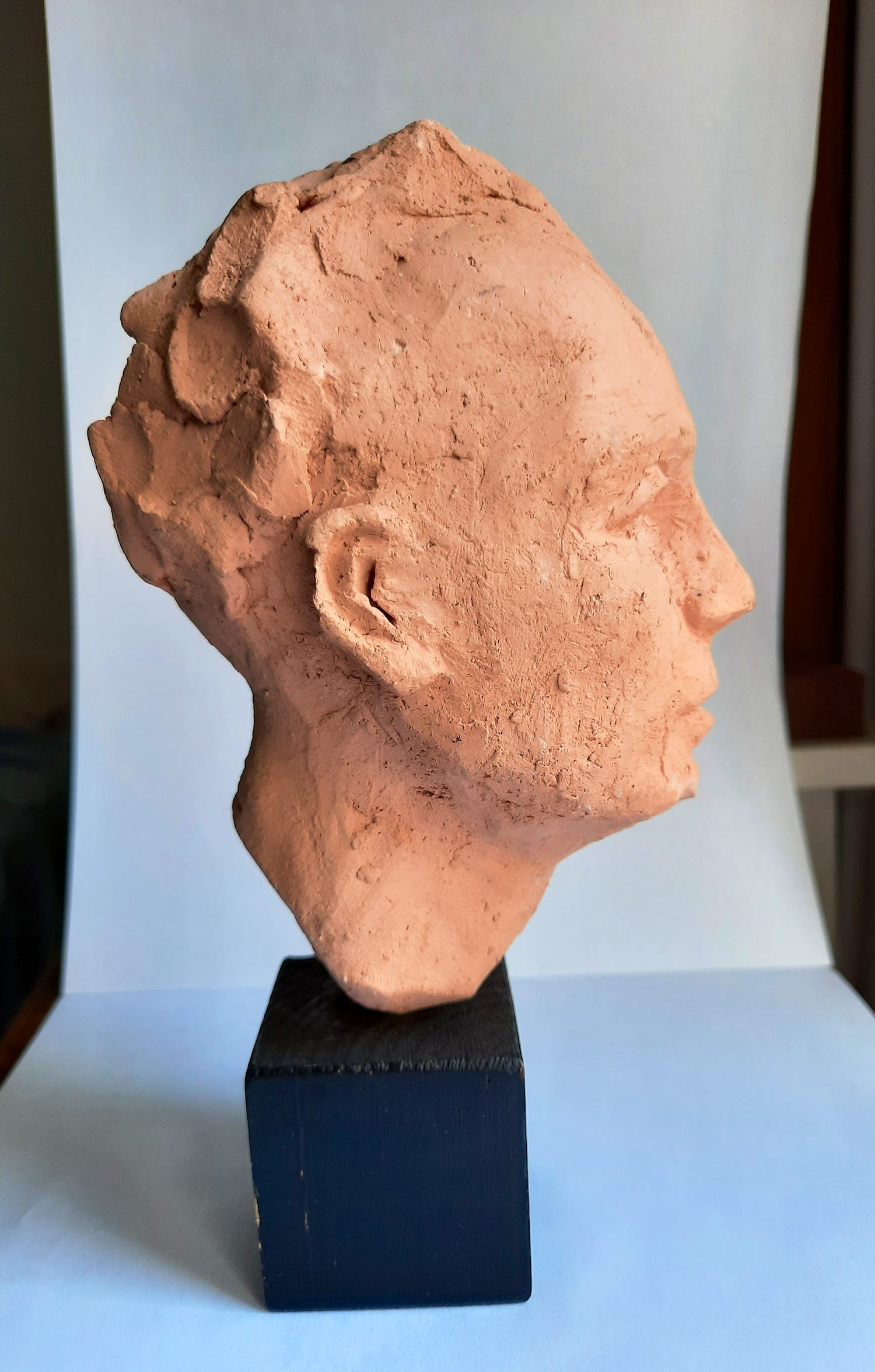 Niet of onleesbaar gesigneerd - Portret in klei kopen? Bied vanaf 1!