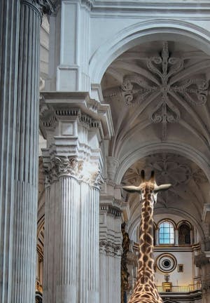 Mr. Strange - Les hautes voûtes kopen? Bied vanaf 50!