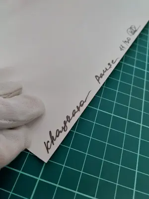 Lidiia Khaikara - Pauze kopen? Bied vanaf 155!