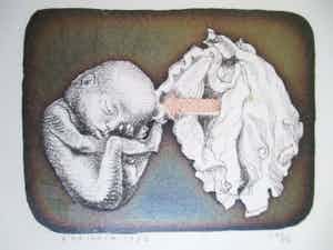 Herman Berserik - Litho kleine oplage verkocht voor € 50!