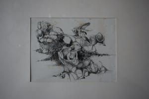 Pim Olivier - litho - Insekten met kikker kopen? Bied vanaf 40!