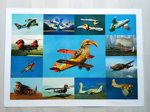 Martin Schwarz - "Vogelflieger" 1997 - Lithographie - Auflage von 350 - signiert - (70 x 50 cm) kopen? Bied vanaf 80!