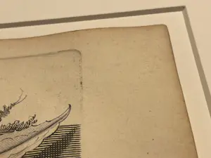 Joseph Mulder - Abraham Munting: Aloe / Agave 1696 Nauwkeurige beschrijving der aardgewassen kaufen? Bieten Sie von 140!