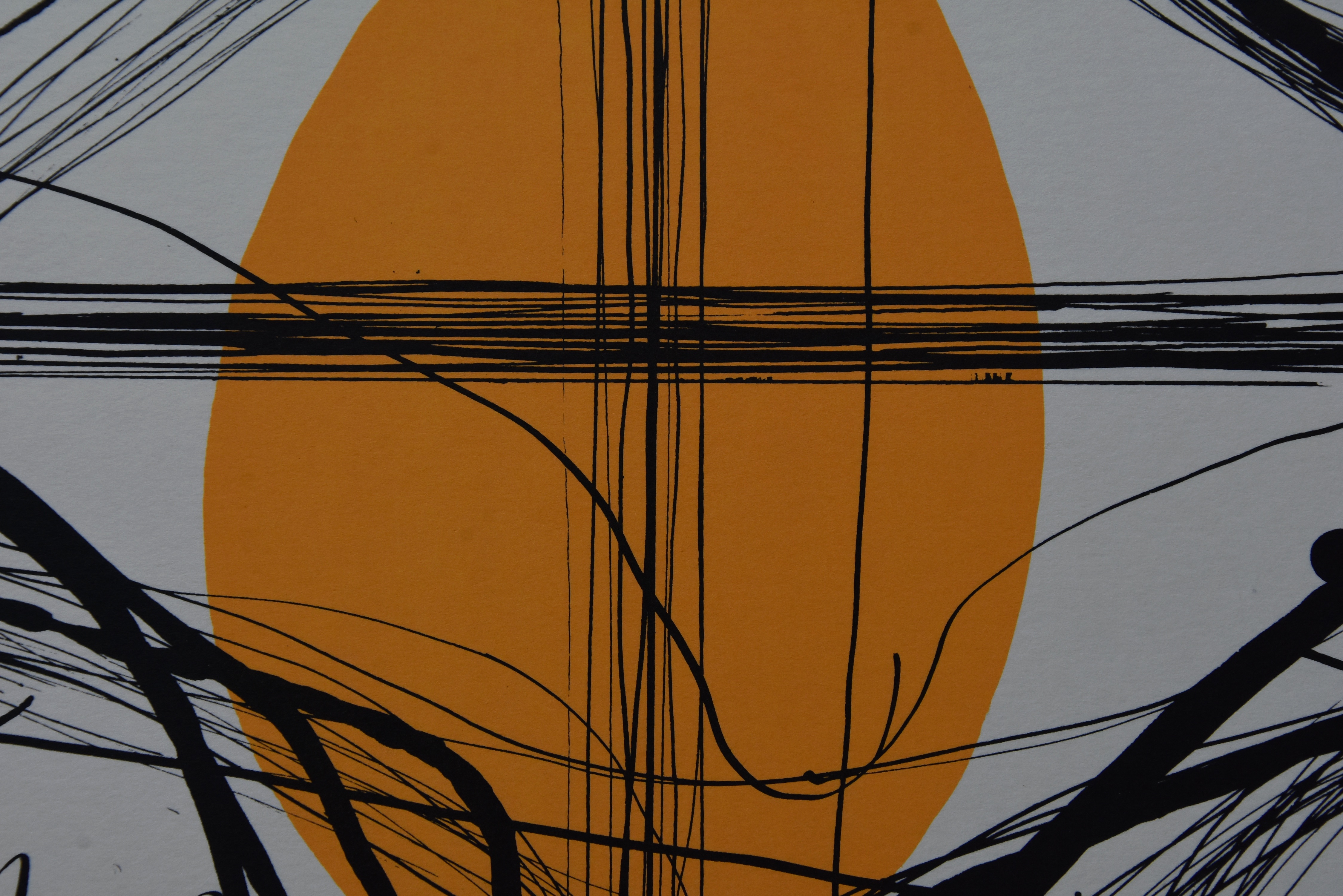 Joost van Haaften - #DIE MA BLOSE WELT# litho , gesigneerd/genummerd, mint kopen? Bied vanaf 40!