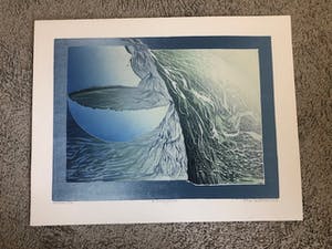 Antje Veldstra - de smaragdbeek kopen? Bied vanaf 20!