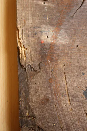 Niet of onleesbaar gesigneerd - Antiek Houten Icoon Our Lady of Mercy (1350) kopen? Bied vanaf 1!
