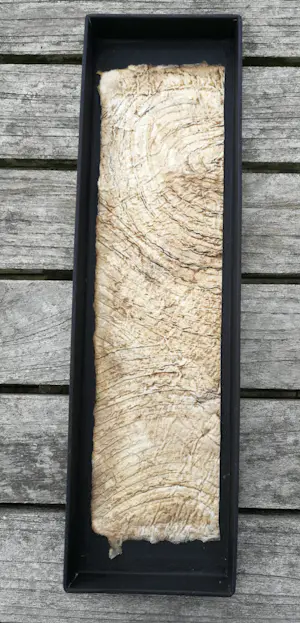 Yvonne Struys - Vleugel. Animalia. kopen? Bied vanaf 119!