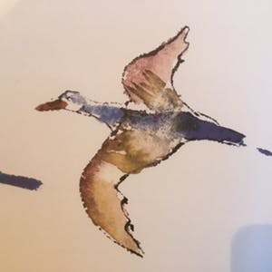 Maya Wildevuur - “ op de vleugels “ kopen? Bied vanaf 1!