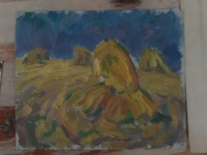 Jan Vink - compleet studie materiaal kopen? Bied vanaf 375!