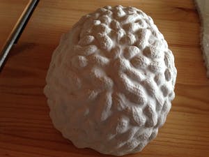 Teja van Hoften - Just Peanuts kopen? Bied vanaf 20!