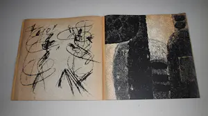 Karel Appel - KD expositie 1963 - zeldzaam ongevouwen, opl.500 - foto's Ed van der Elsken kopen? Bied vanaf 125!