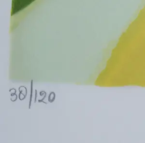 Patty Harpenau - Maandag Wasdag - ingelijst - 1997 kopen? Bied vanaf 100!