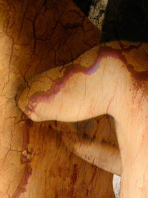 Jack Vissers - Photographica nr. 14 kopen? Bied vanaf 45!