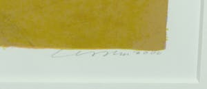 Henk van Vessem - Zeefdruk, De voorbije zomer - Ingelijst kopen? Bied vanaf 40!